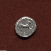 古希腊西西里岛墨西拿兔子银币