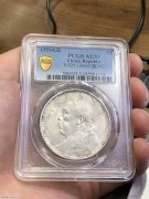 ★PC AU53分 原光好品 三年 “旋內齿” 大头银币